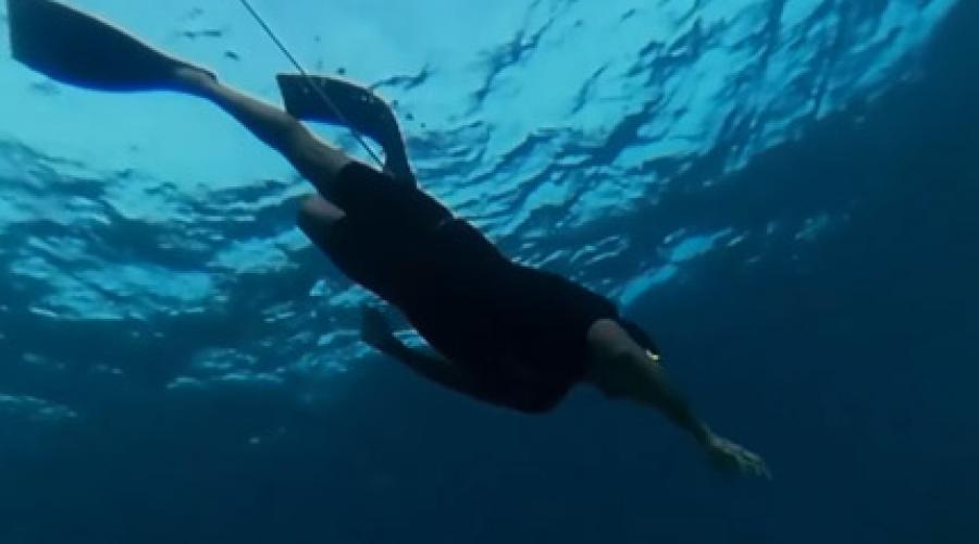 360 Programa de Conservación Marina del Smithsonian