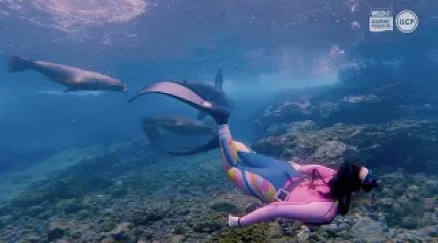 WildAid - Historia de Gianna